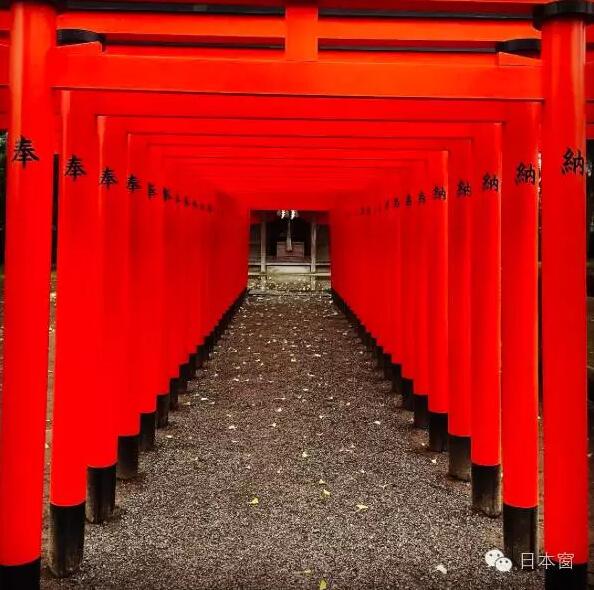 日本旅遊：去熊本縣看熊本部長時不可錯過的美景（組圖）