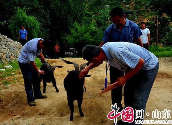 唯有美食不可辜負 蒙山伏羊節特色美食節慶即將開啟（組圖）