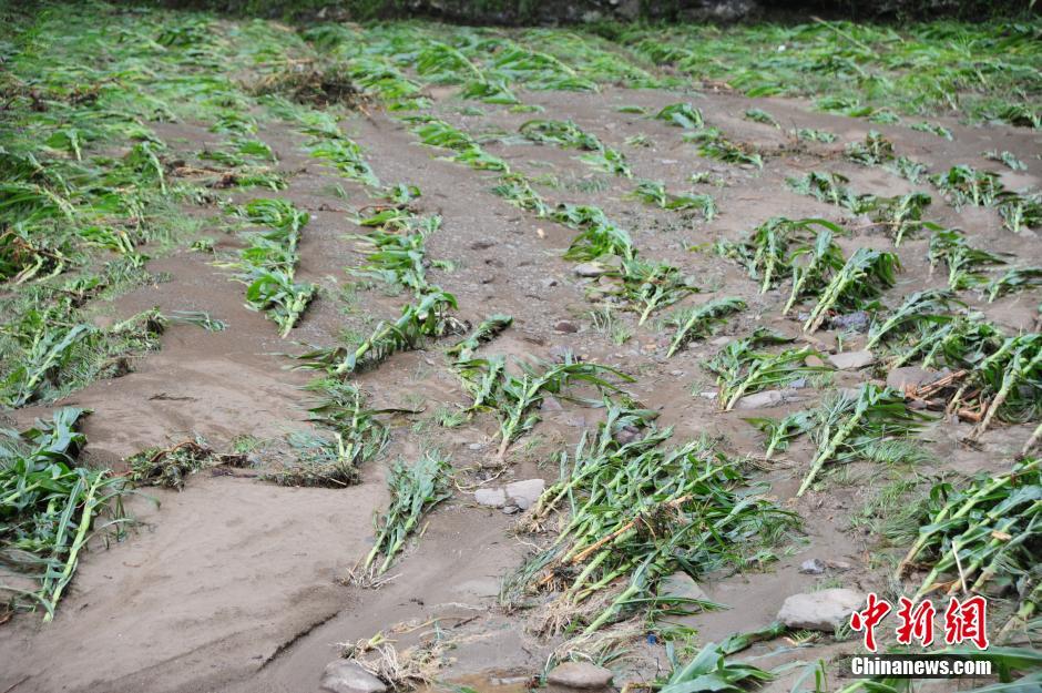 重庆遭暴雨袭击 多地出现山体滑坡城市内涝等灾情