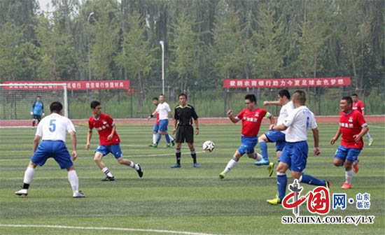 “红色老区 金色梦想”蒙阴举办第十八届足球联赛