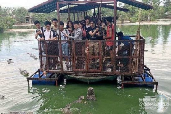 中国游客到泰国玩钓鳄鱼 画面惊恐让人不敢看