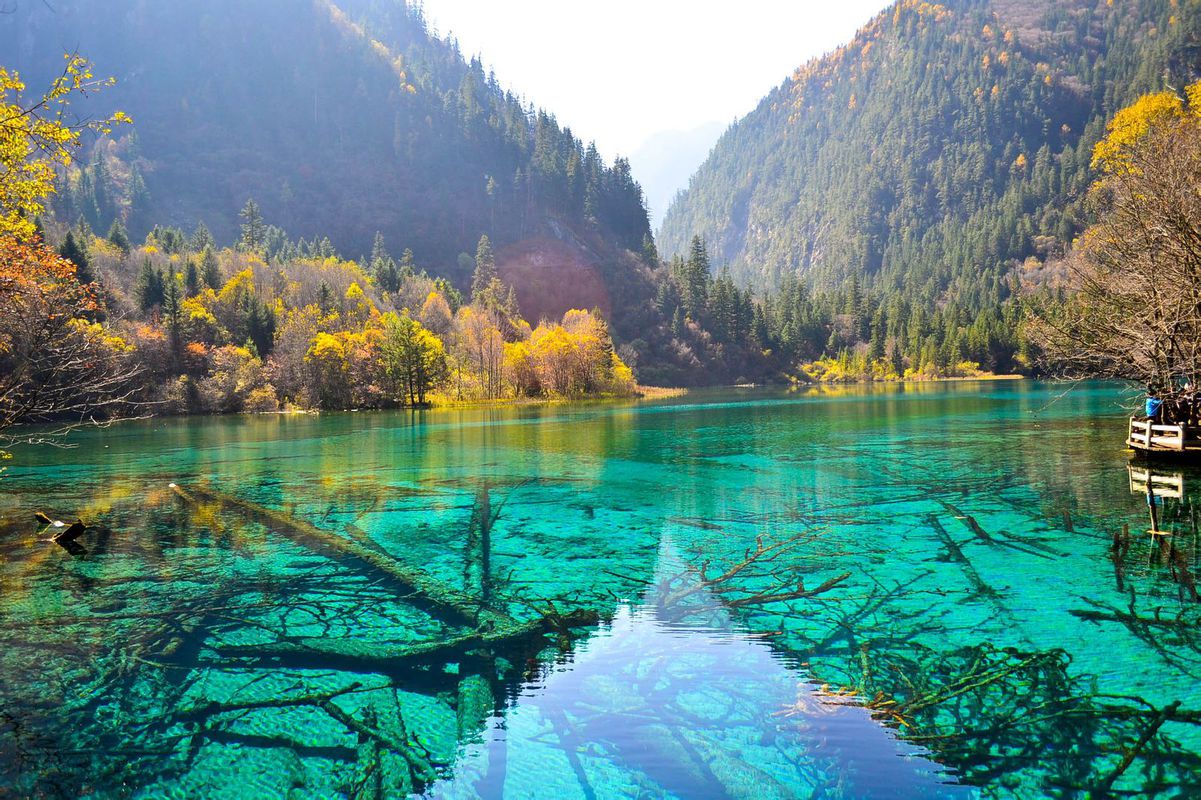 持續高溫催熱避暑遊 四川九寨溝迎來旅遊高峰（組圖）