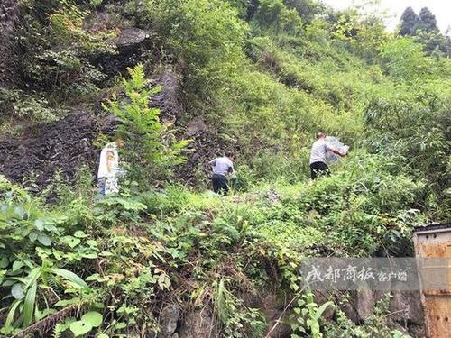 四川千佛山放生两车蛇 村民恐慌不敢上山采药（图）