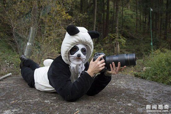 为了“ 
活捉 
”野生熊猫,这些 
摄影师 
玩起了Cosplay