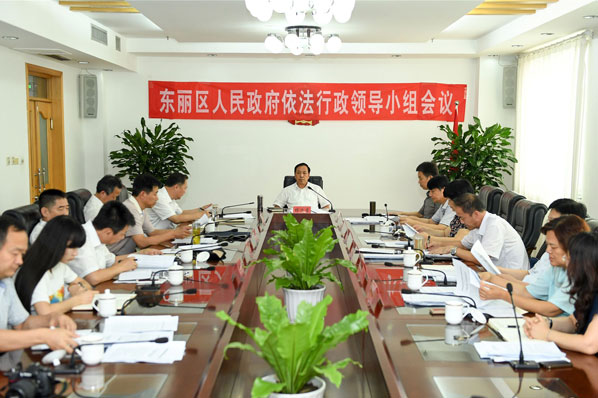 东丽区召开全面推进依法行政领导小组会议
