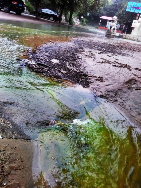 稀罕济南大佛头现雨后青山绿水长流现翡翠般阳绿色