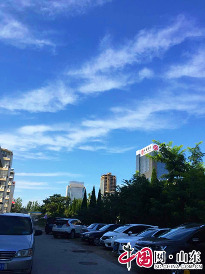 拍客濱州：蔚藍天空下的綠葉紅花