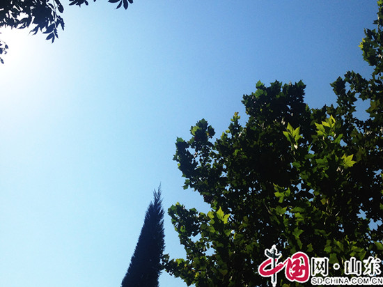拍客濱州：雲淡風輕 一不小心被美到