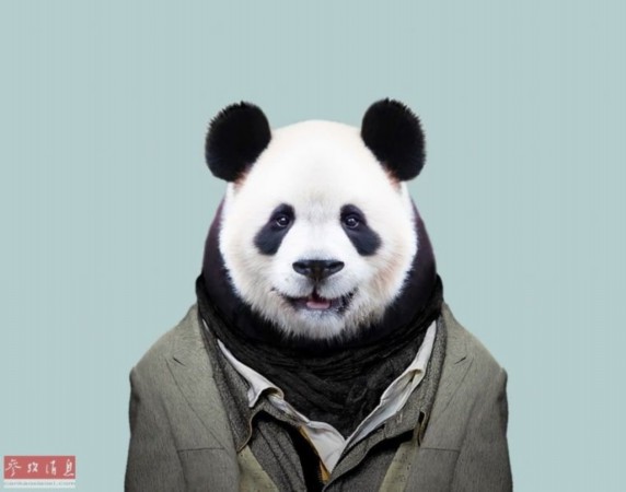 现实版动物城：艺术家将动物打扮成人类模样