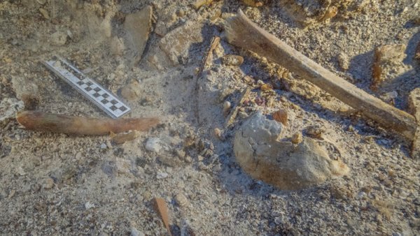  
安迪基西拉 
沉船里发现了2000年前的船员 
骸骨 
