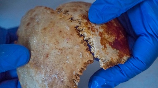 
安迪基西拉 
沉船里发现了2000年前的船员 
骸骨 
