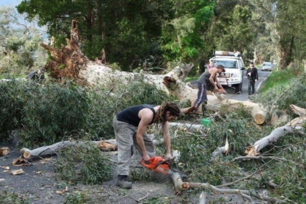 澳大利亞維州遭強風襲擊 致1人死亡