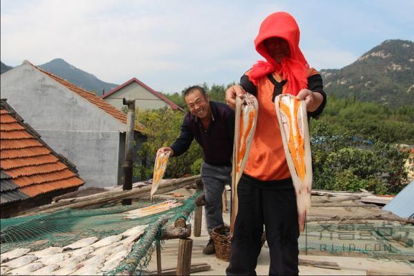 即墨“曬魚村”一年産幹魚260萬斤 房前屋頂到處是魚