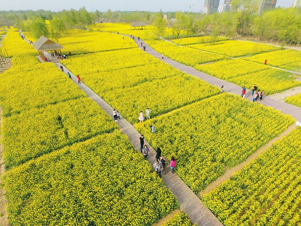 一系列“国家级”成果 令滨州市民幸福指数飙升