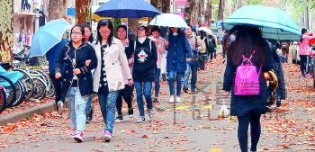 冷！濟南一夜“進冬天”，但供暖還得等到11月後