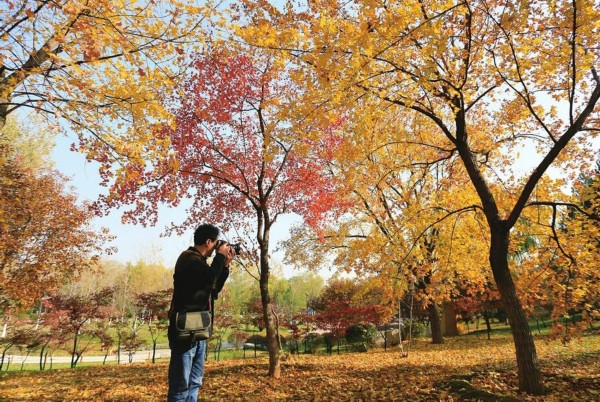 养眼美图！济南植物园初冬景色美 色彩斑斓分外美丽