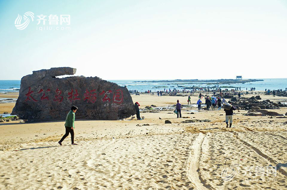 日照太公岛牡蛎公园聚集近千人赶海