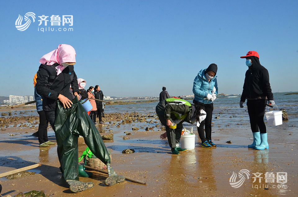 日照太公島牡蠣公園聚集近千人趕海