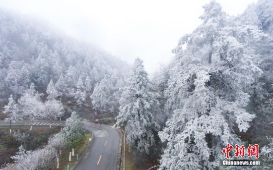 贵州雷公山现雾凇景观 宛如童话世界 - 中国网