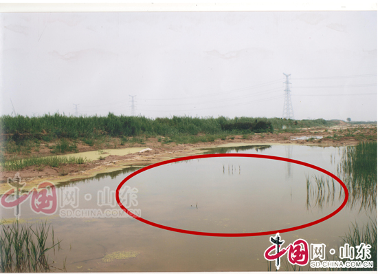 濱州市濱北街道辦事處某村被曝百畝耕地被挖成大水坑