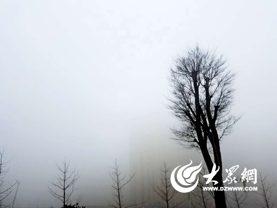 日照发布大雾橙色预警 部分地区能见度低于200米