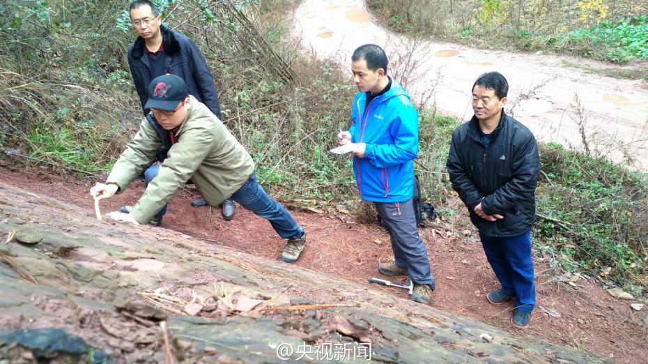 貴州畢節發現侏羅紀蜥腳類恐龍腳印 已有一億多年曆史