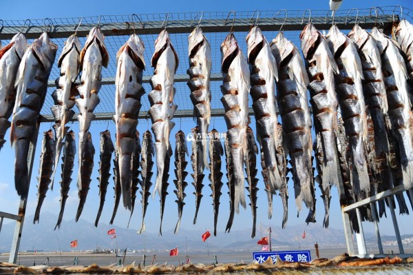 高清：這個漁村因曬魚而著名 冬日裏海貨飄香