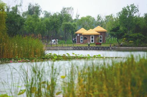 濟西國家濕地公園6月“開門納客” 試運營期間免費