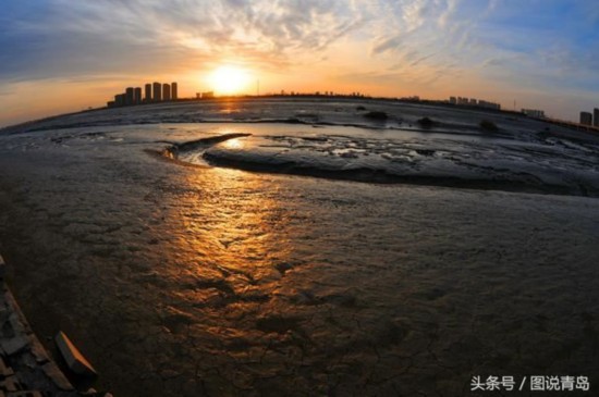 冷空氣送來彩霞滿天 膠州灣濕地再現生態美景