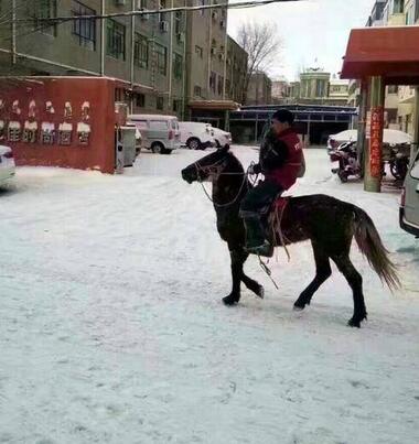 內蒙古突降暴雪 快遞員騎馬送包裹（圖）