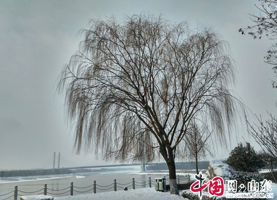 濱州：雪後黃河 天然水墨