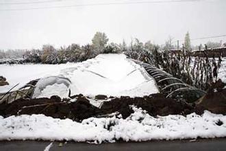 山東：4市雪災受損 省財政31.2億元救助困難群眾
