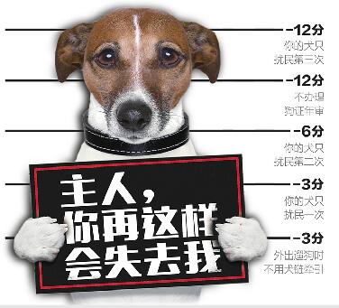 放大招！濟南將推養犬計分制 扣完12分“吊銷”狗證