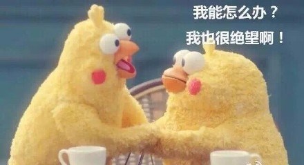 各种卖萌良心根本不痛