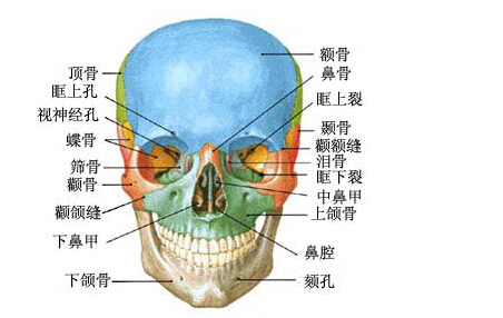 拔智齒 不能直接起到“瘦臉”的作用(組圖)