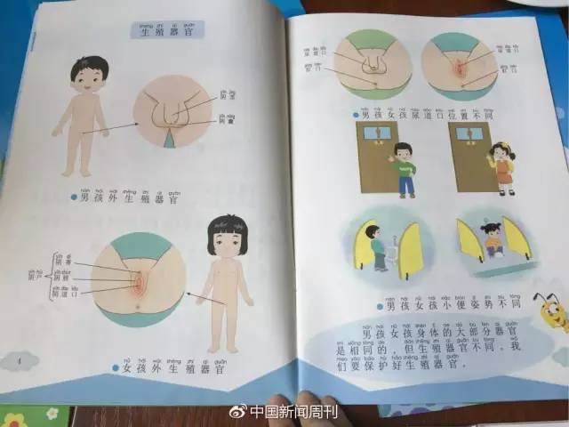 小學性教育書脫銷 內容尺度過大顧客是想拿小黃書看？(組圖)