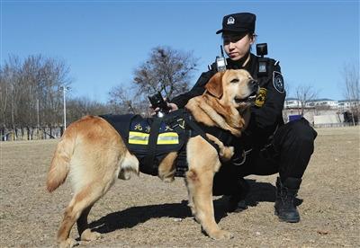 佩戴vr天眼警犬亮相可回传现场全景画面图