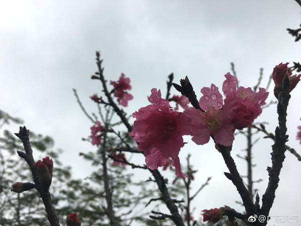 江西福建有大雨 明起冷空氣影響中東部