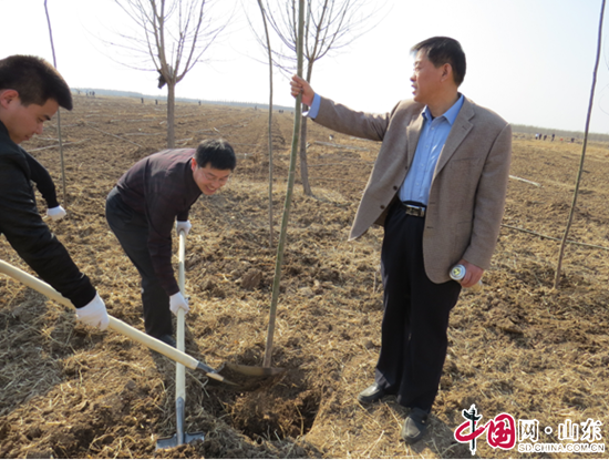濱州市沾化區司法局組織幹部職工參加植樹活動