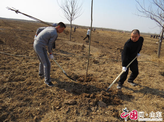 滨州市沾化区司法局组织干部职工参加植树活动