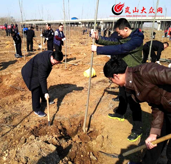 嵐山區質監局積極開展義務植樹活動