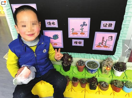  
幼兒園老師 
讓帶“肉肉”植物  
萌娃 
帶了塊 
豬肉 
