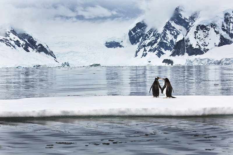 组图:摄影师花25年拍摄绝美南极照片