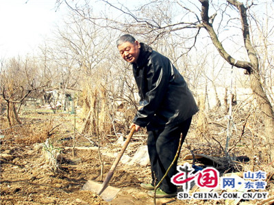 集输总厂：八旬老党员韩发阶义务植树二十年 育出一片林果园(图)