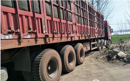 棗莊現史上最大規模貨車集結闖卡 102輛遭當場查扣