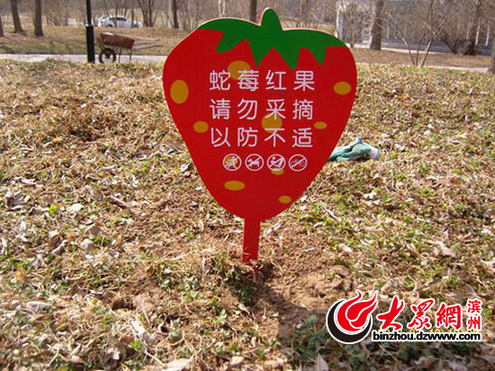 濱州城區新增450塊綠地提示牌 提醒市民文明遊園