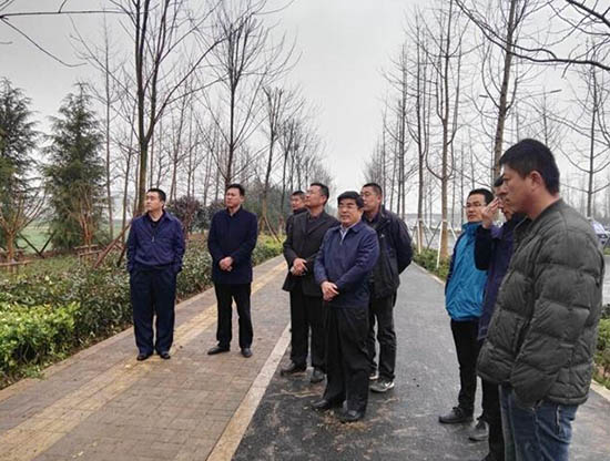 临沂市住建局局长张卫强到北京东路改造工程现场办公