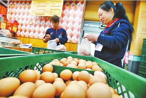 濟南市場雞蛋價格開始觸底反彈 零售價每斤3元左右