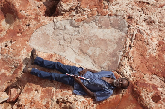 世界最大恐龙足迹被发现