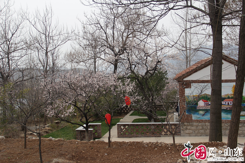 “尋找山東最美綠色鄉村”宣傳活動啟動儀式在淄博博山舉行